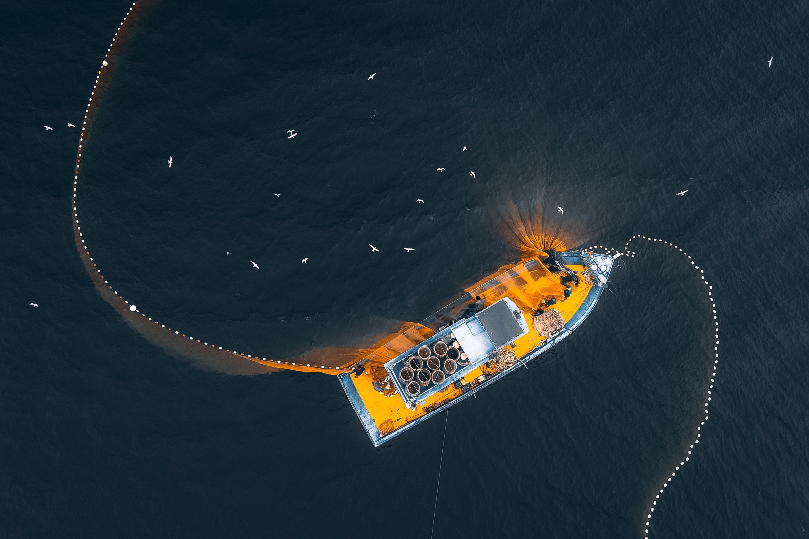 Aerial view of a small fishing boat setting a purse seine net in open dark water, with seagulls overhead